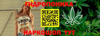 альфа пвп Лесосибирск