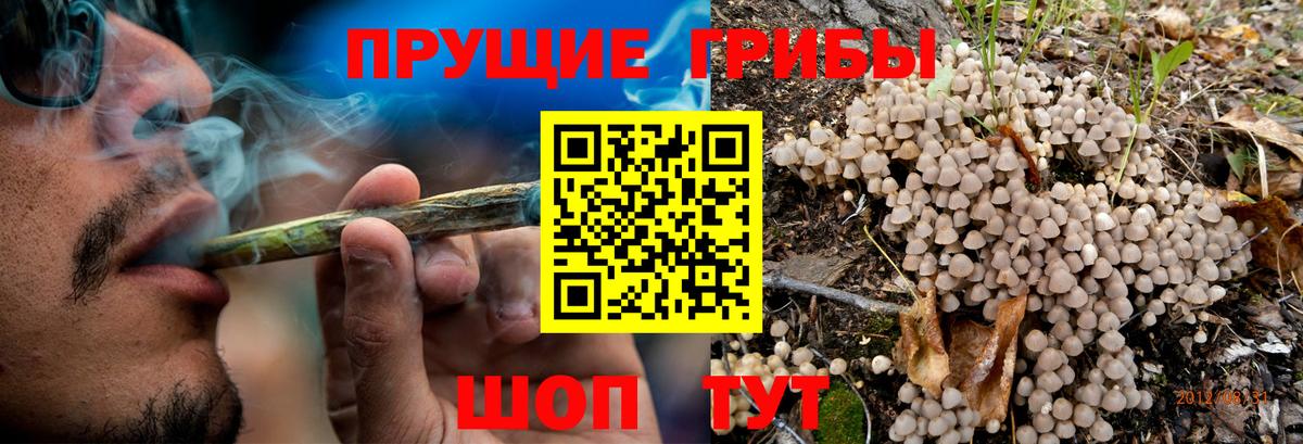 Псилоцибиновые грибы Magic Shrooms Юрга